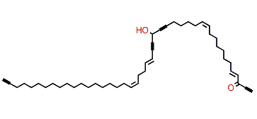 Petroformyne 6